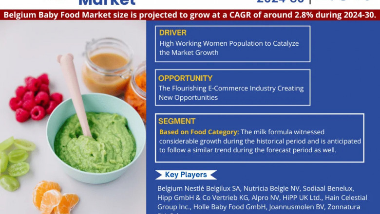 Belgium Baby Food Market Poised for Strong 2.8% CAGR Through 2030 | Size & Opportunity Insights
