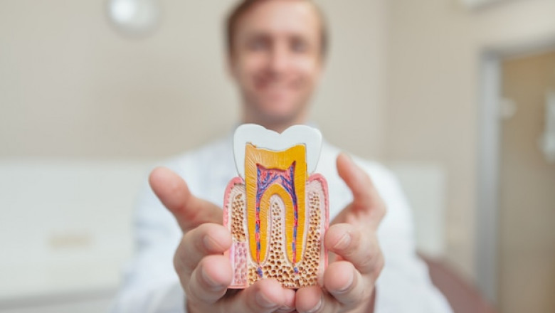 How Important is to Seek the Expertise of an Orthodontist for Crooked Teeth