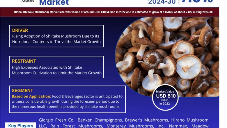 Shiitake Mushroom Market Poised for Strong 7.8% CAGR Through 2030 | Size & Opportunity Insights
