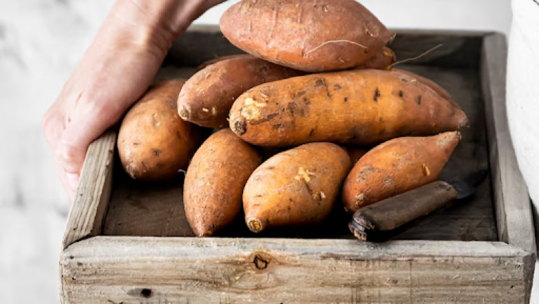 The Sweet Potato’s Journey to Texas – History & Impact