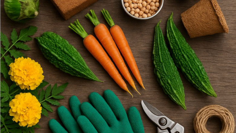 Gardening Supplies India: A Comprehensive Guide for Every Green Thumb