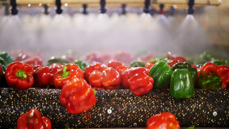 ISO 22000 – Food Safety
