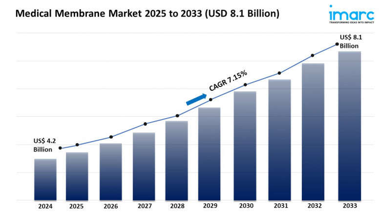 Medical Membrane Market Growth, Share, and Forecast 2025-2033