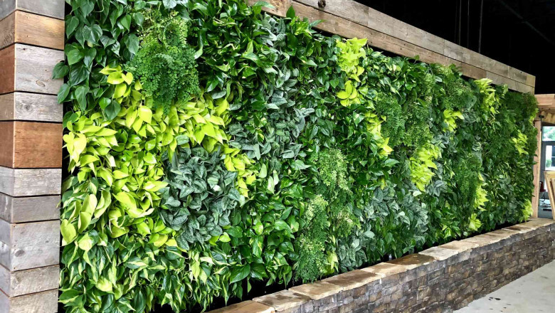 Stylish & Sustainable Plant Walls for Modern Interiors