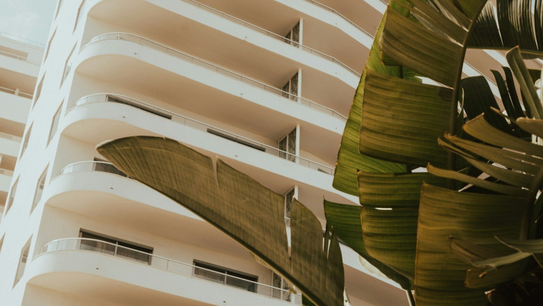 Movers in Miami FL: Reliable, Local Moving Experts You Can Count On