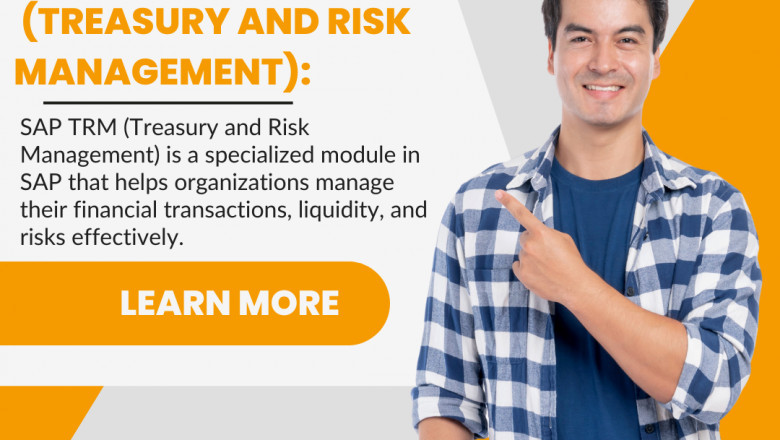 SAP TRM Online Training: A Complete Tutorial on Treasury and Warehouse Integration