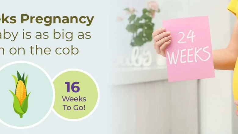 24 Weeks Pregnant: What to Expect at Six Months?