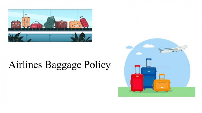 Delta Airlines Baggage Policy