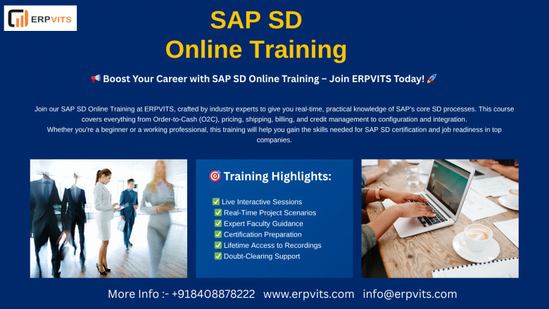 Master SAP SD Module with ERPVITS – Your Passport to International SAP Careers