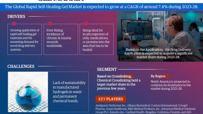 Rapid Self-healing Gel Market Expected to Grow at 7.4% CAGR | Key Trends & Forecast to 2028
