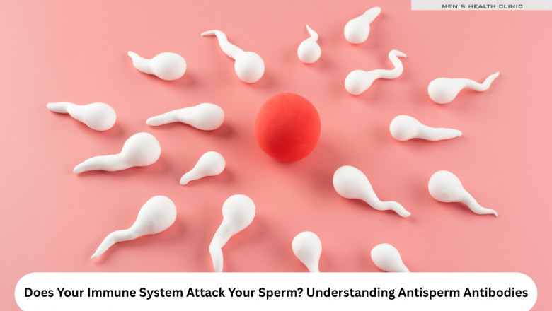Does Your Immune System Attack Your Sperm? Understanding Antisperm Antibodies