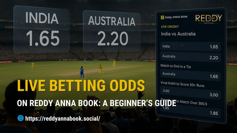 Live Odds on Reddy Anna Book: A Beginner’s Guide