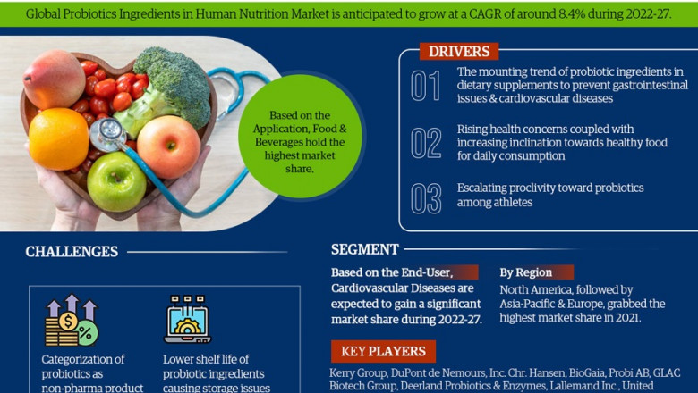 Probiotics Ingredients in Human Nutrition Market to Witness 8.4 % CAGR Growth Amid Rising Demand and Innovation