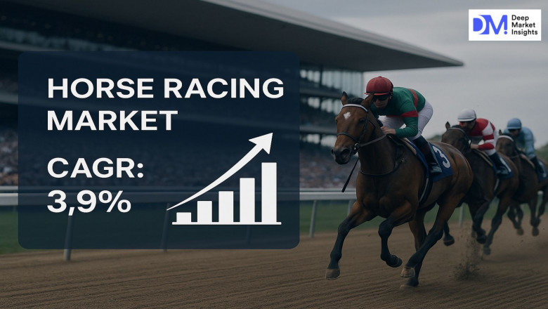 Horse Racing Market Snapshot: Key Facts Every Stakeholder Should Know