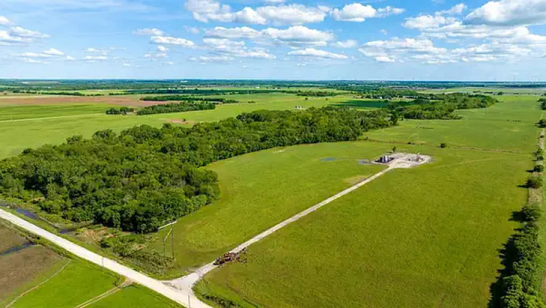 How to Find Land for Sale at Auction in Texas?