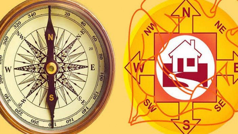 Why You Should Consult a Trusted Astrologer in Borivali West
