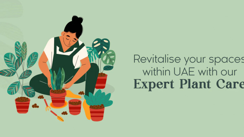 Professional Commercial Plant Care in Dubai: Keeping Your Green Spaces Lush and Thriving