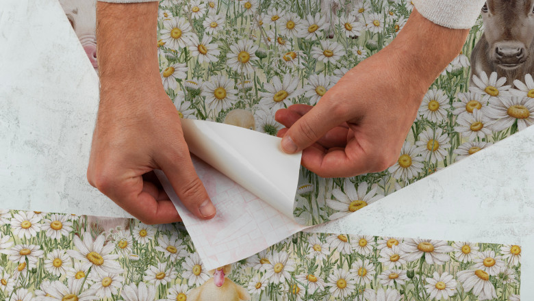 Peel and Stick vs Traditional Wallpaper: Which Is Better for You?