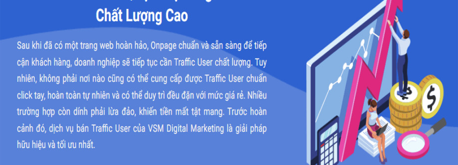 Mua traffic user Vsm Cover Image