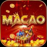 Macao99 Cam Profile Picture