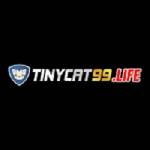 tinycat99 life Profile Picture