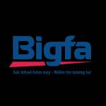 bigfa vn Profile Picture