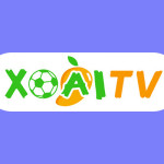 xoaitvcom Profile Picture