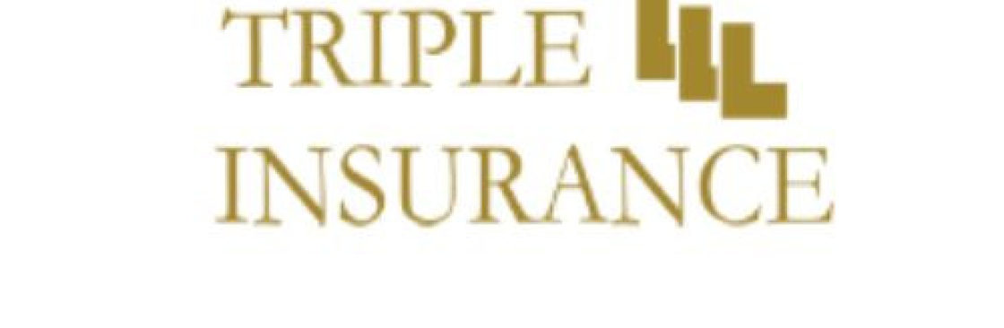 Triple L Insurance Home Insurance Calculator Palm C Cover Image