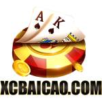 Xcbaicao Online Profile Picture