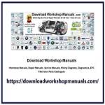 downloadworkshopmanuals6 Profile Picture