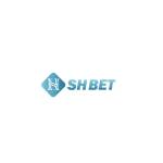 Web Game SHBET Profile Picture