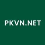 PKVN Casino Profile Picture