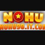 NOHU90 IT COM Profile Picture