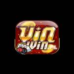 VINWIN PL Profile Picture