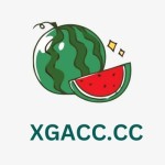 XGACC Profile Picture