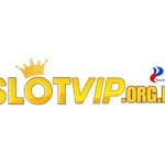 Slotvip Casino Profile Picture