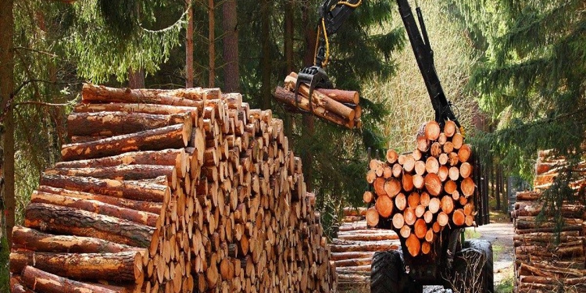 Forestry and Logging Market: Innovations in Harvesting Techniques