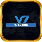 v7agorg profile picture