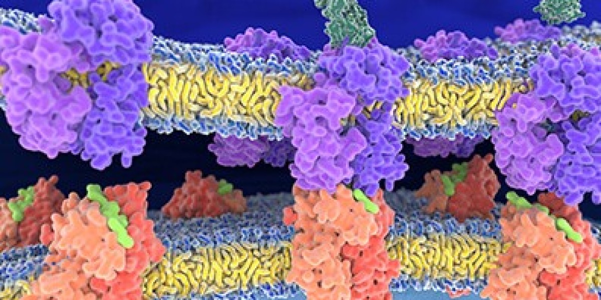 Comprehensive Review of Solid-Phase Peptide Synthesis Techniques