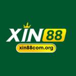 xin88com org Profile Picture