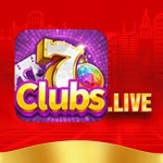 7clubs live Profile Picture