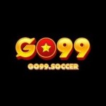 go99soccer Profile Picture