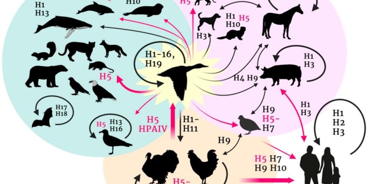 H5N1 Antibodies and Antigens for Research Applications