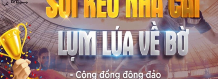 Soi kèo nhà cái chính xác Cover Image