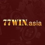 77winim Profile Picture