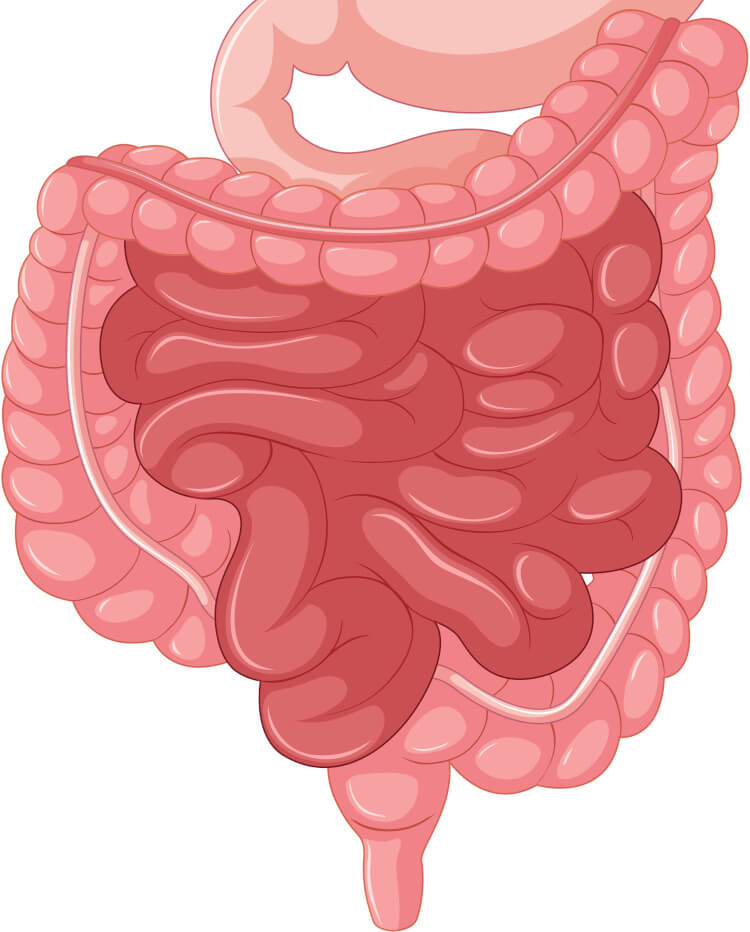 Colonic Irrigation: Everything You Need to Know