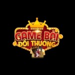 gamembaidoithuongnyc Profile Picture