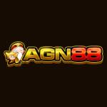 AGN 88 Profile Picture