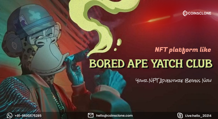 Bored Ape Yacht Club Clone Script | BAYC like NFT Marketplace