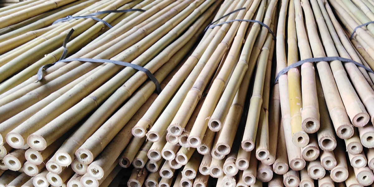 Buying Bamboo Stakes Online: Tips for Choosing the Best Garden Support